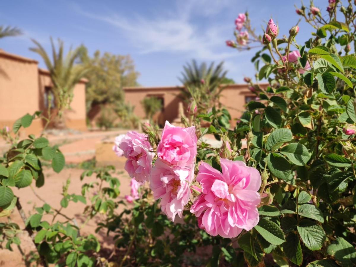 Maison D'Hotes Tigminou - Adults Only Ait Benhaddou Esterno foto