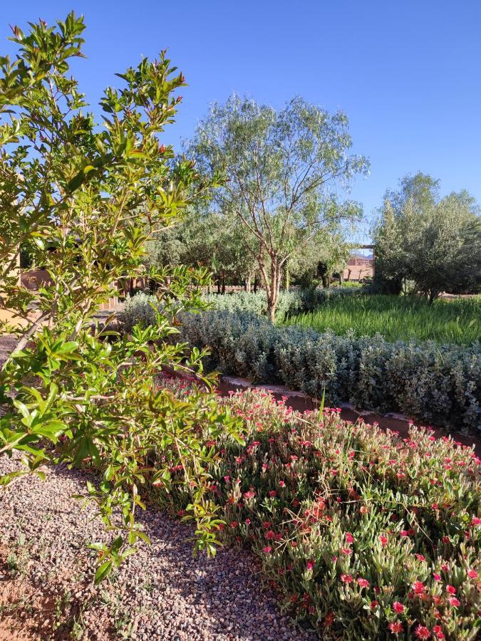 Maison D'Hotes Tigminou - Adults Only Ait Benhaddou Esterno foto
