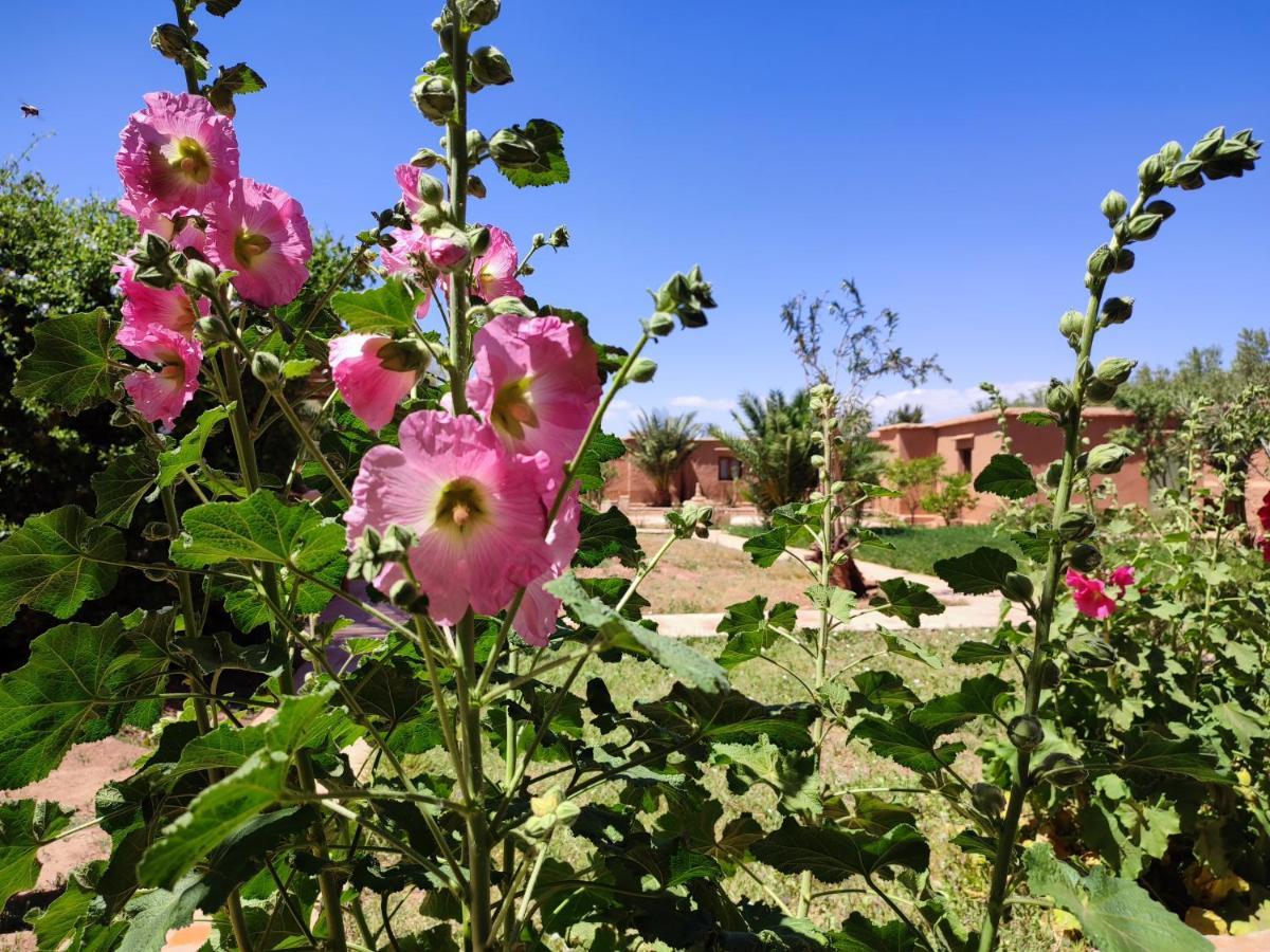 Maison D'Hotes Tigminou - Adults Only Ait Benhaddou Esterno foto